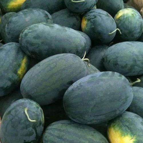 黑料一区在线吃瓜