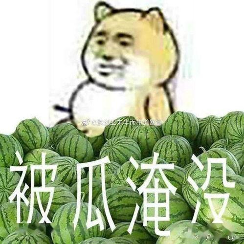 国产吃瓜黑料外泄一区,一区外泄事件背后的真相